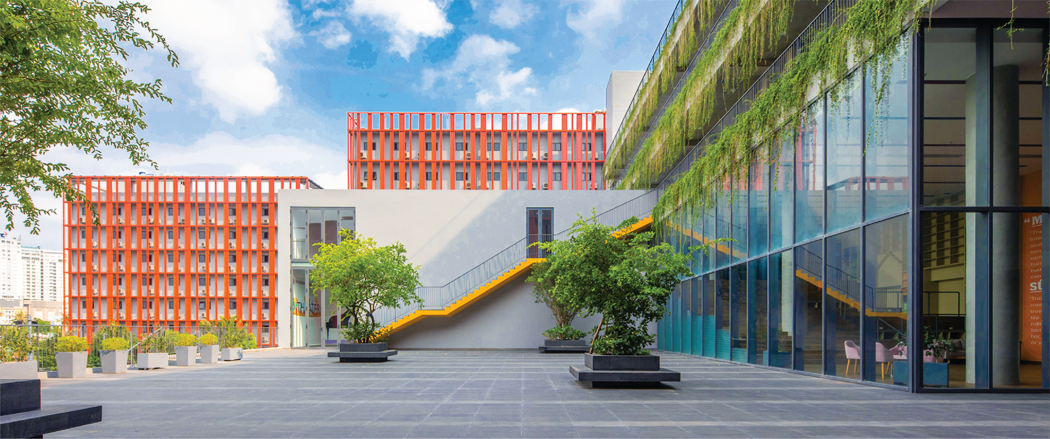 consultation background